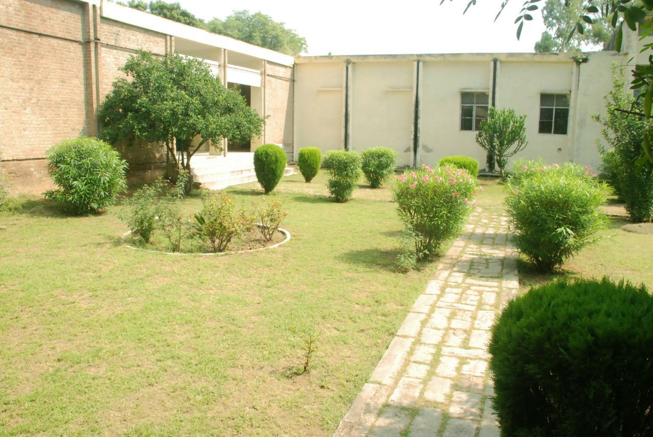 Description of Photo 2