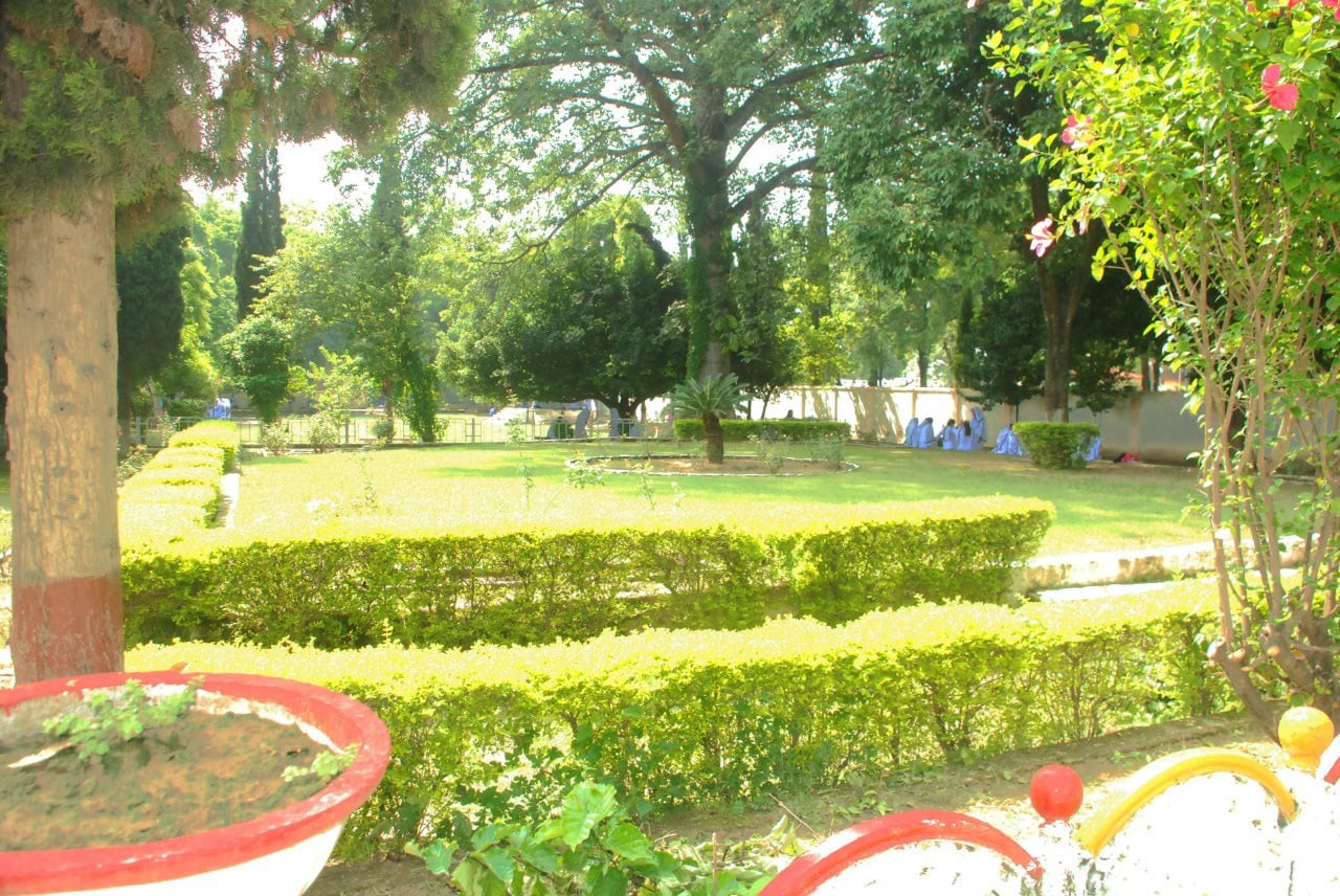 Description of Photo 2