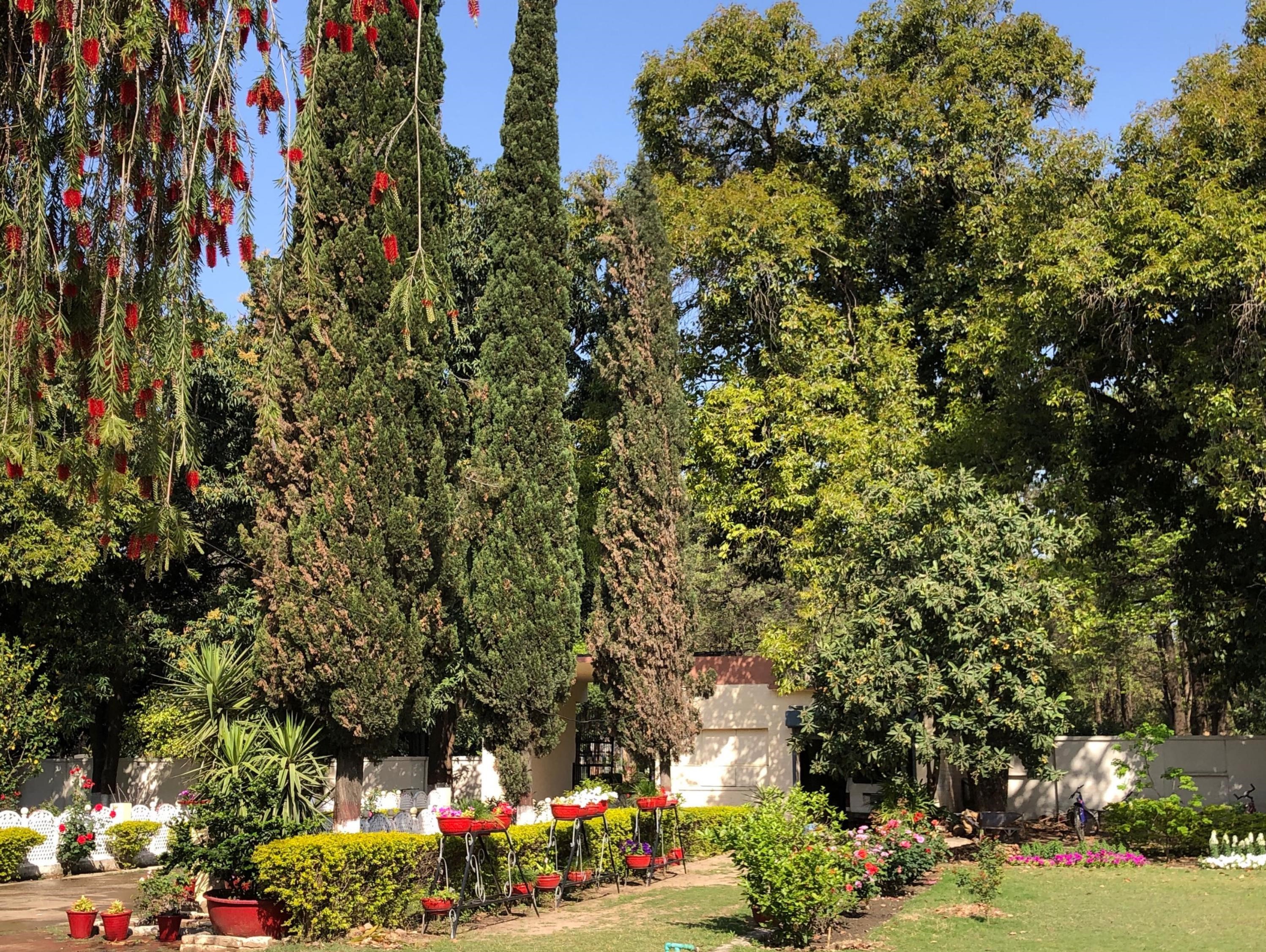 Description of Photo 2